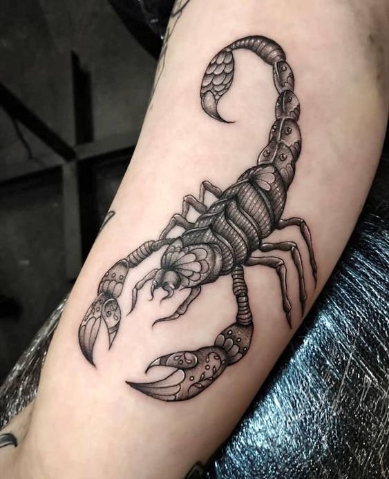 Top Tatuajes De Escorpiones Significado Dise Os Ideas Vean Tattoo