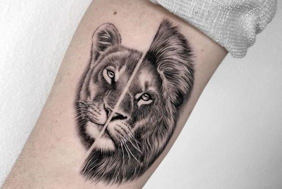 leon tatuaje