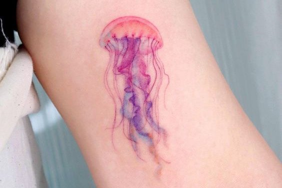 tatuaje medusa