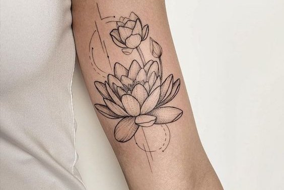 Qué es la FLOR DE LOTO? Simbolismo, culturas, postura, tatuajes 