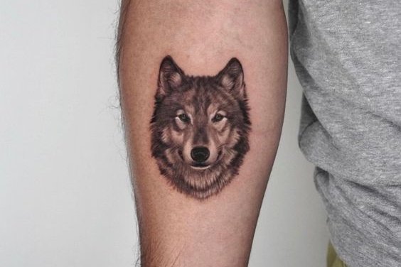 tatuaje lobo