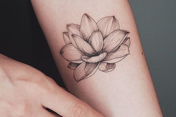flor de loto tatuaje