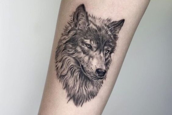 tatuaje lobo