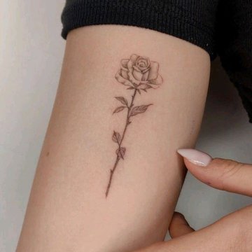 tatuaje rosa