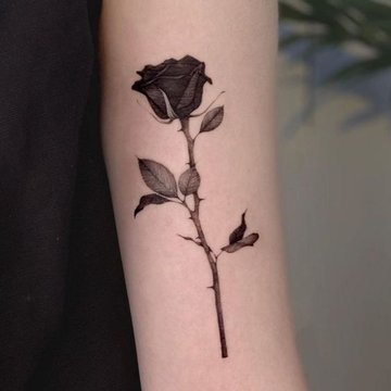tatuaje rosa