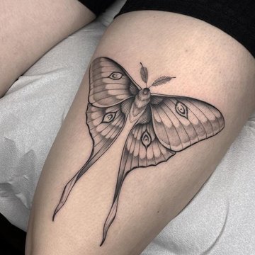 mariposas tatuajes