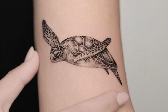 tatuajes tortuga