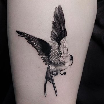 golondrina tatuaje