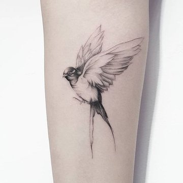 golondrina tatuaje