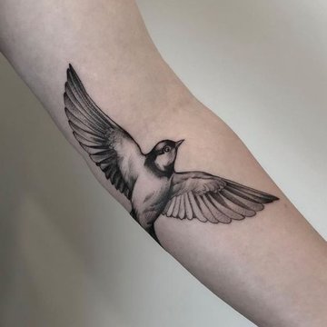 golondrina tatuaje