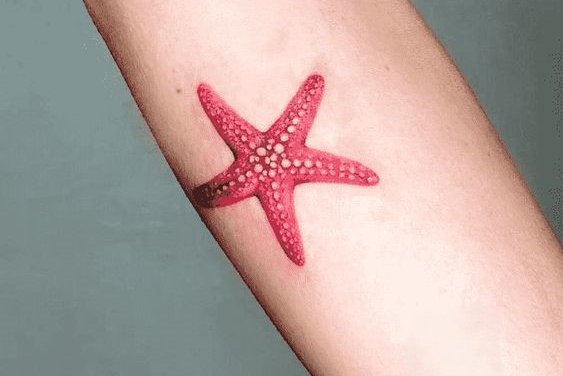 tatuaje estrella de mar